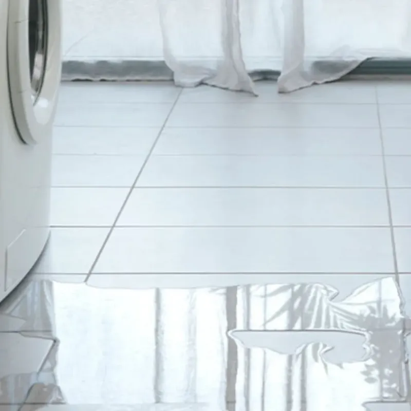 Appliance Leak Cleanup in Cherokee, AL
