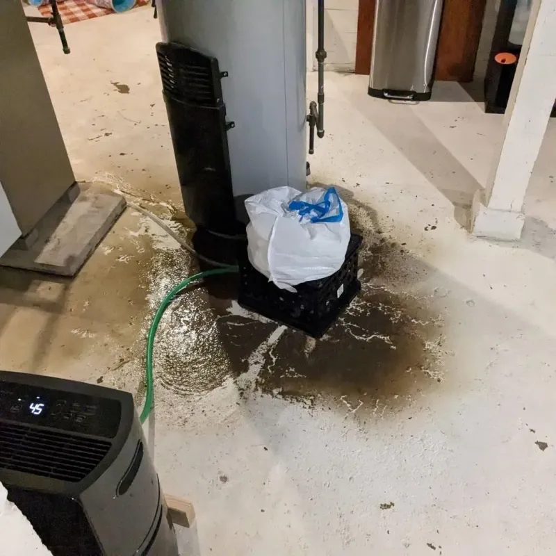 Sewage Backup Cleanup Service in Cherokee, AL